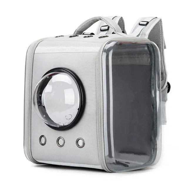 Durable Limited Transparent Pet Backpack