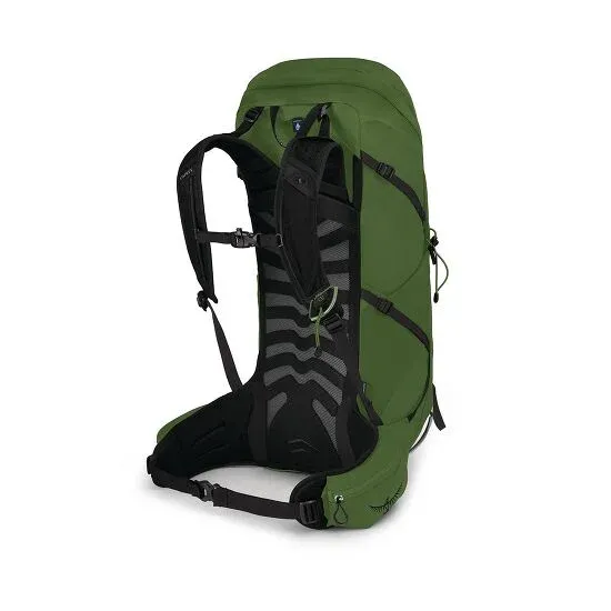 Talon 36 Pack - Men's