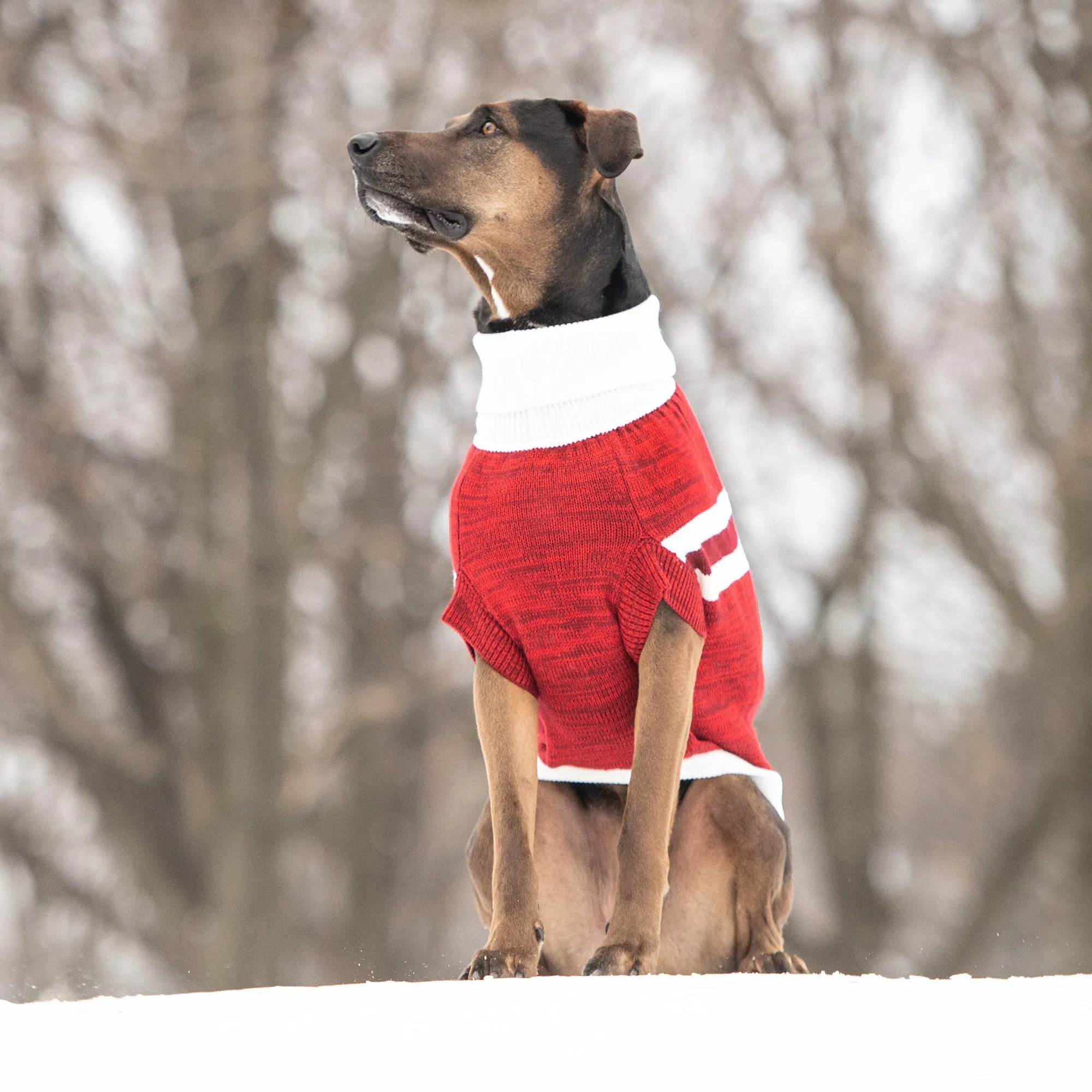 Trekking Sweater Multi-Knit Dog Sweater  - Red