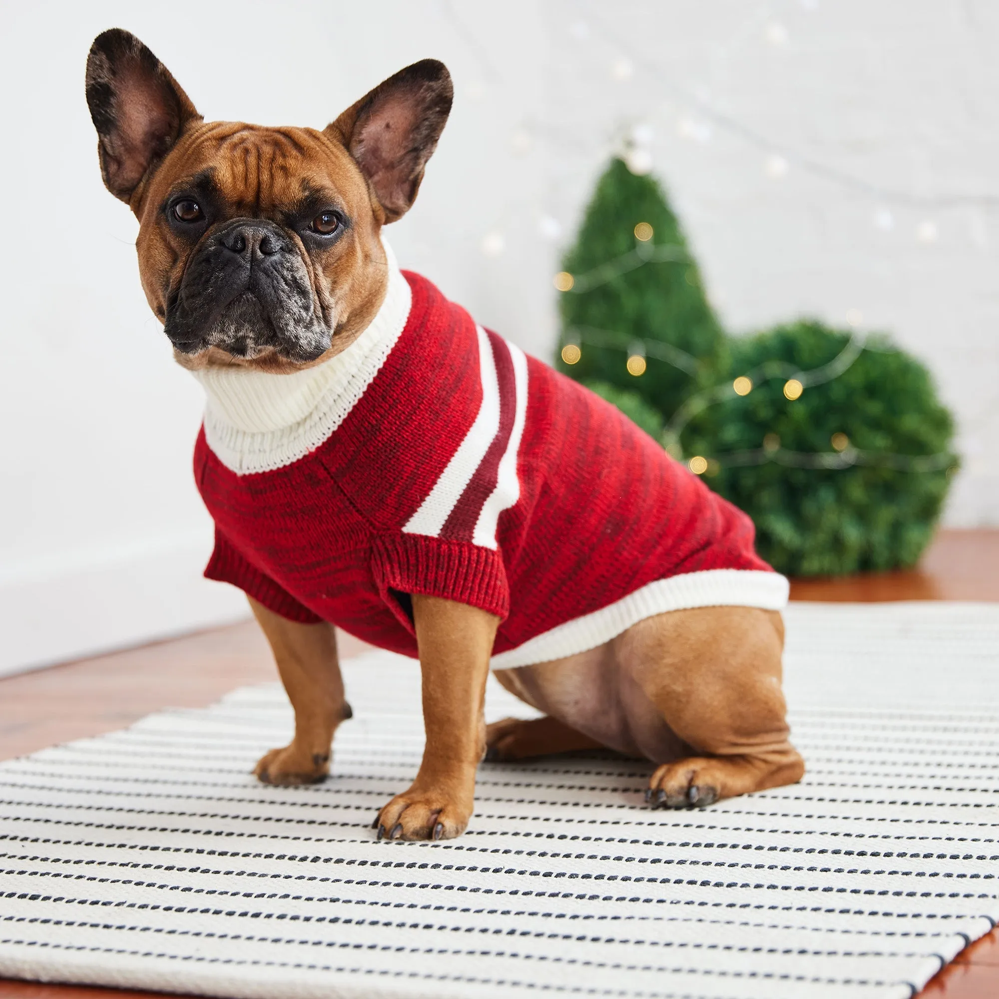 Trekking Sweater Multi-Knit Dog Sweater  - Red